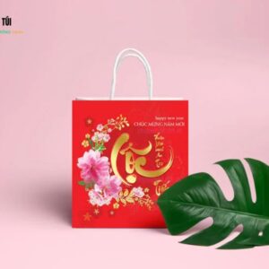 IN TÚI GIẤY ĐỰNG QUÀ TẾT TẠI ĐÀ NẴNG