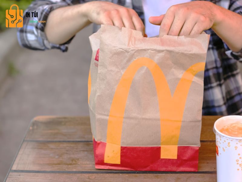 Mẫu túi đựng gà rán số 4