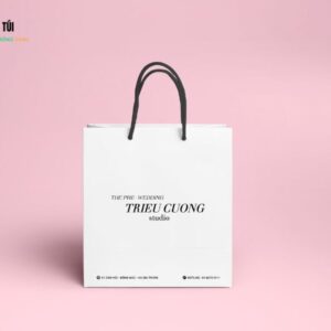 Túi giấy đựng quần áo